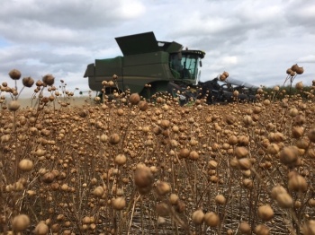 END OF HARVEST 2017